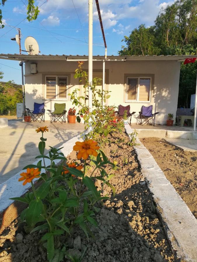 Alibaba Villa Near Airport And Beach Даламан Екстериор снимка