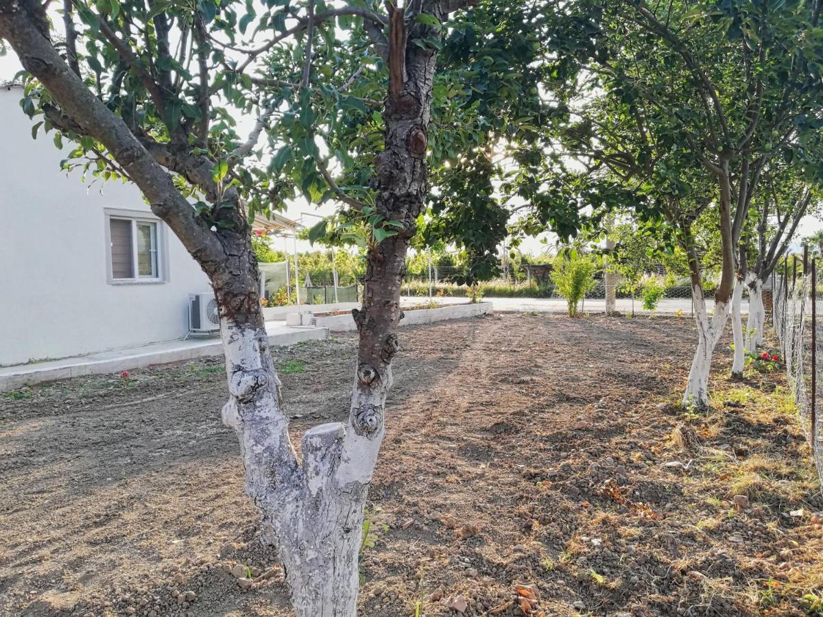 Alibaba Villa Near Airport And Beach Даламан Екстериор снимка