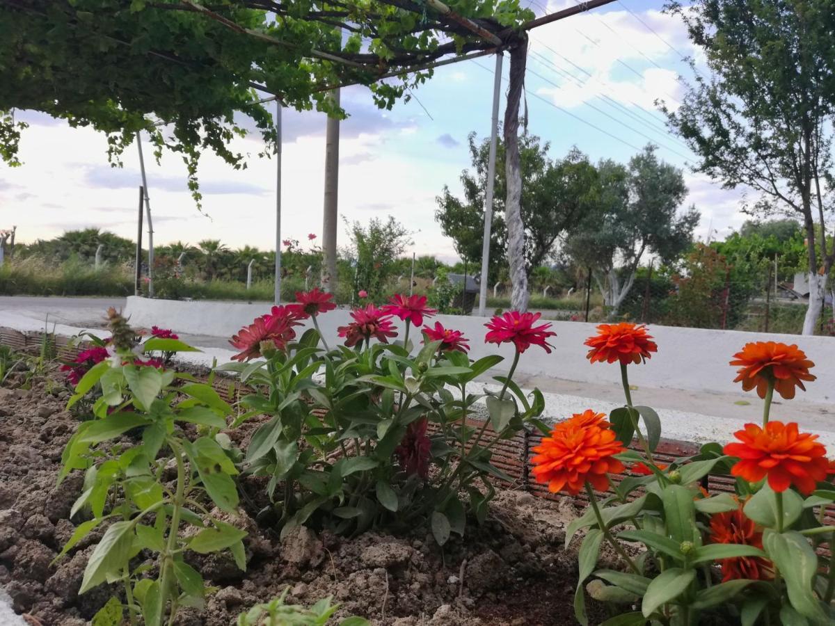 Alibaba Villa Near Airport And Beach Даламан Екстериор снимка