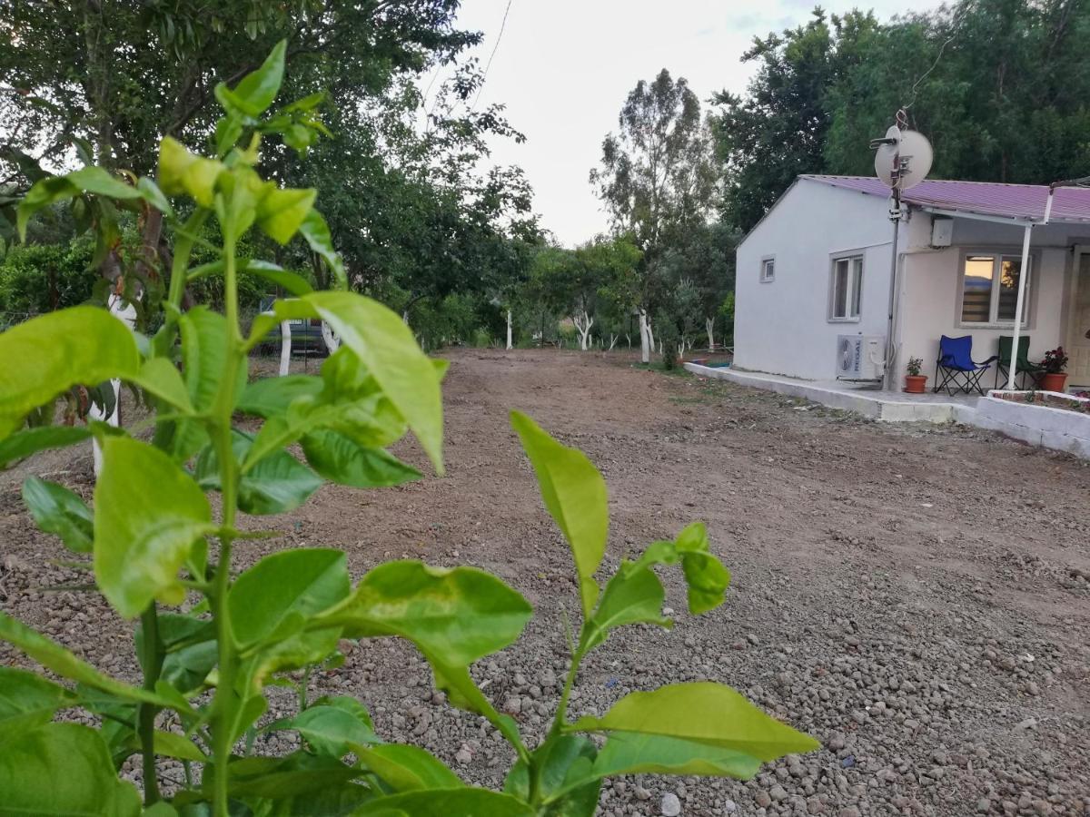 Alibaba Villa Near Airport And Beach Даламан Екстериор снимка